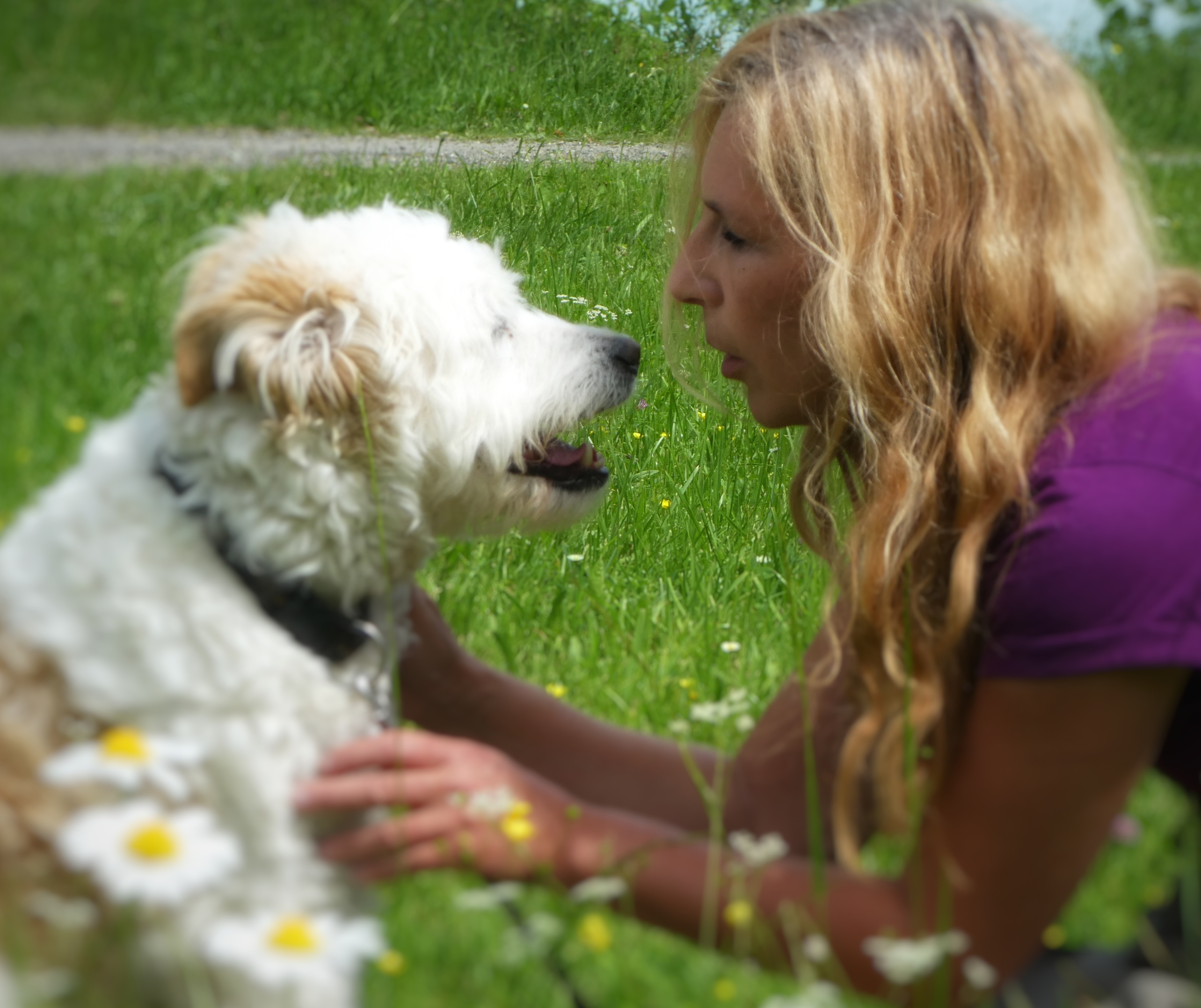 Tierkommunikaion mit Hund bei  Wege zum Tier